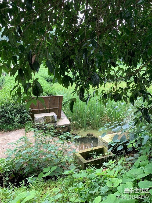 【途有春光】春意盎然