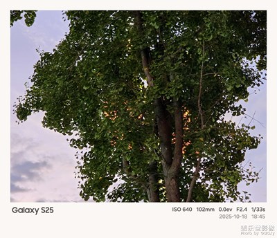 【鏡藏萬象】傍晚時光