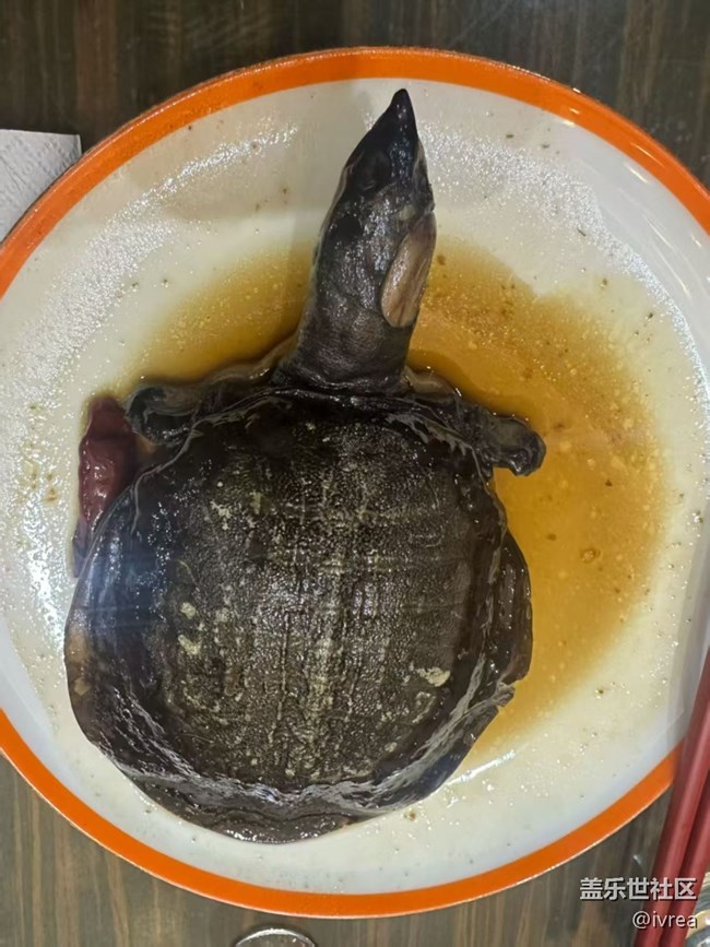 【食鮮記】甲魚