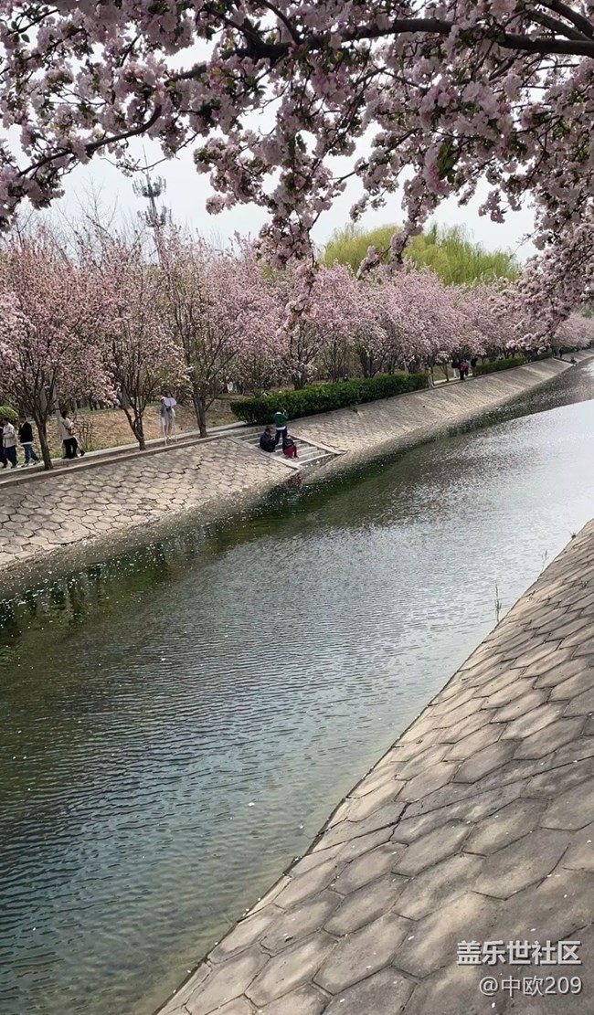 【途有春光】賞春