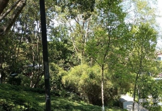 【途有春光】春日公園