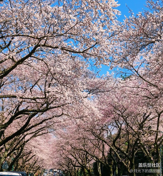 【途有春光】賞花