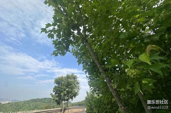 【途有春光】養(yǎng)眼