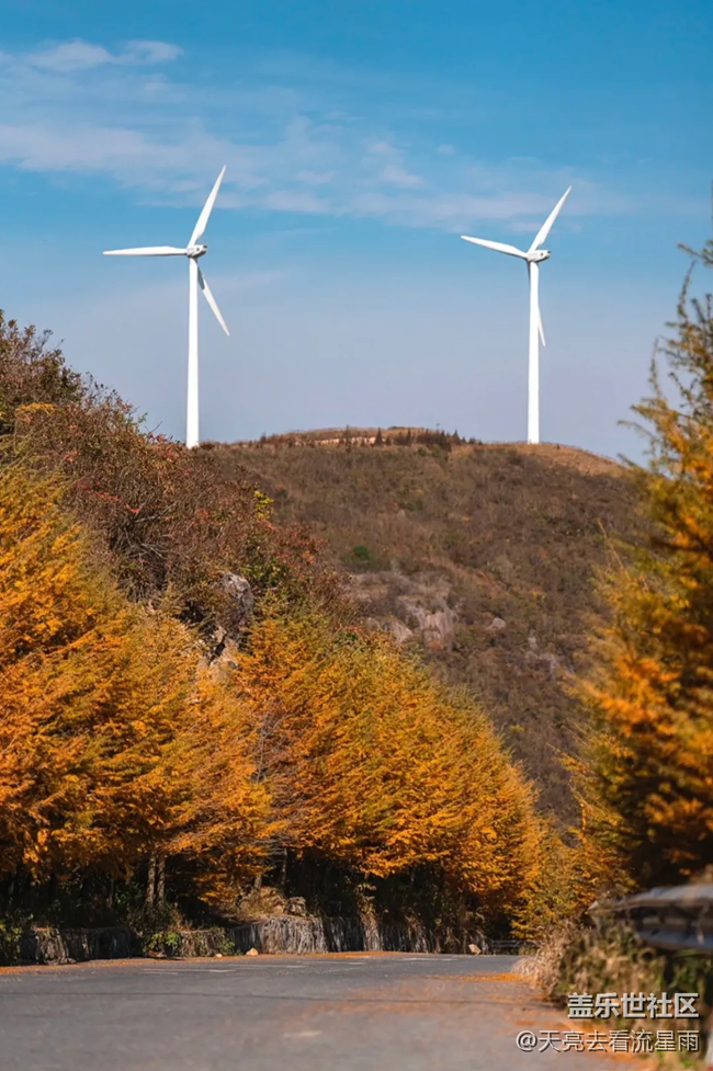 在山之巔、云之海中放逐自我