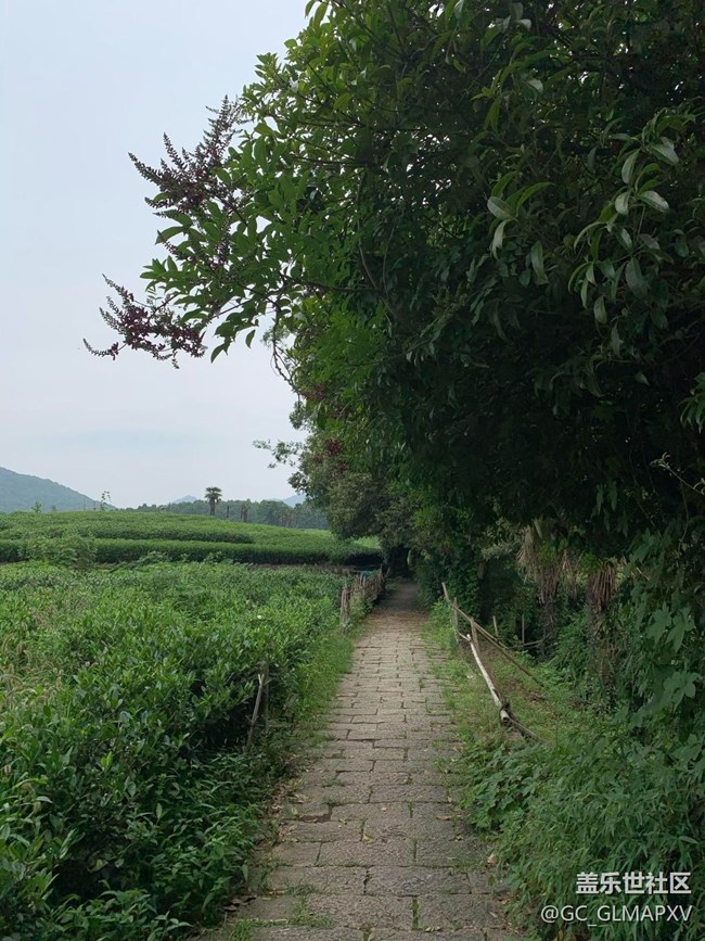 【途有春光】春意盎然