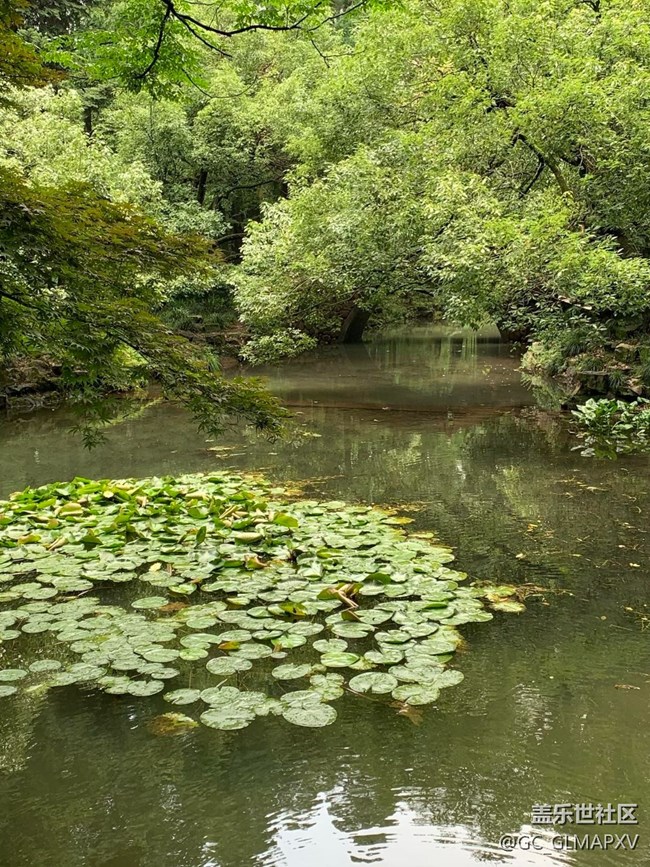 【途有春光】春意盎然