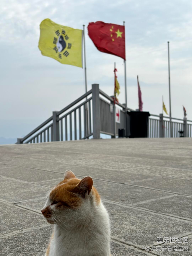 在山之巔、云之海中放逐自我