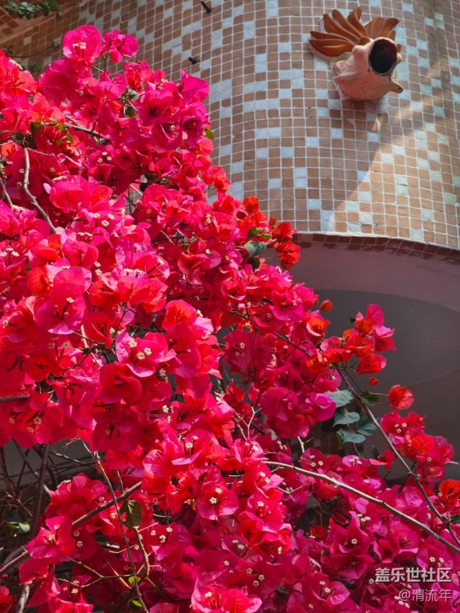 【途有春光】途中之景