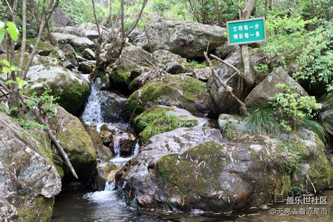 在山之巔、云之海中放逐自我