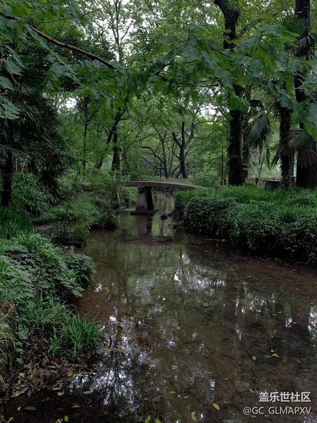 【途有春光】春意盎然