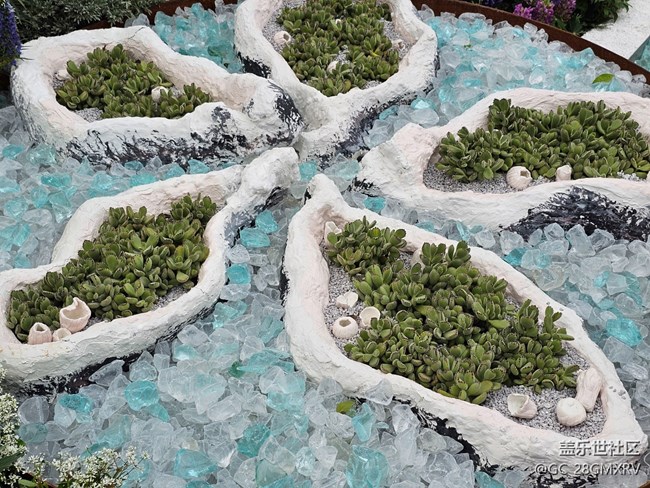 【途有春光】途中春光