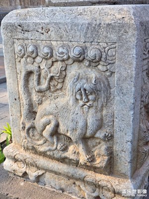 【鏡藏萬象】瑞獅昂首