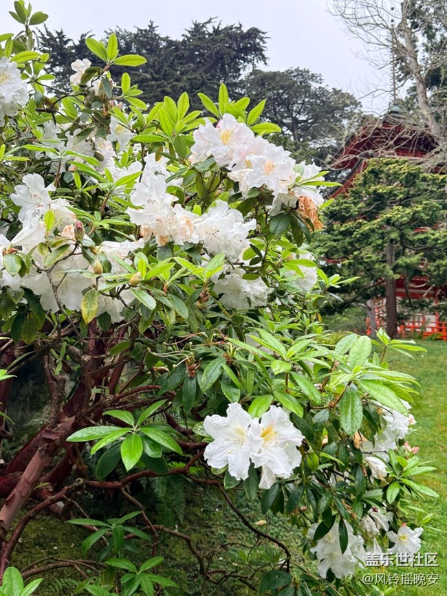 【途有春光】春花