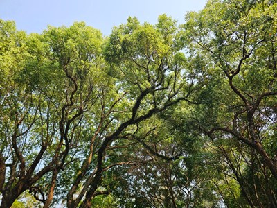 【鏡藏萬(wàn)象】晴朗好天氣