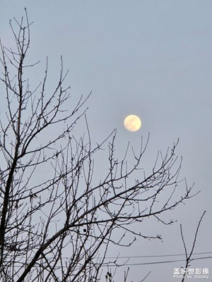 【鏡藏萬象】+隨手一拍