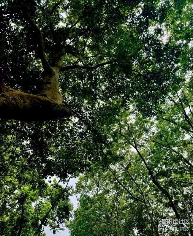 【人間四月天】游西湖