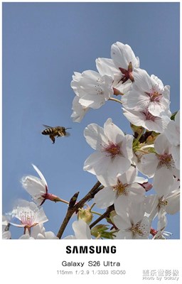 【細(xì)微之處】+長(zhǎng)焦的魅力