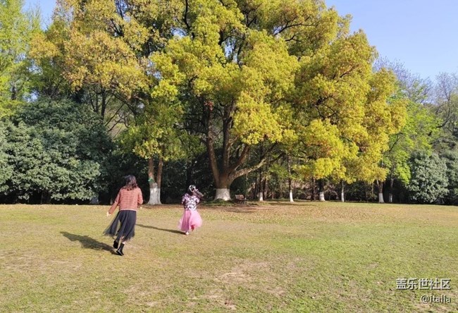 【人間四月天】難得晴天