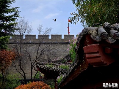 晴好天氣隨手拍