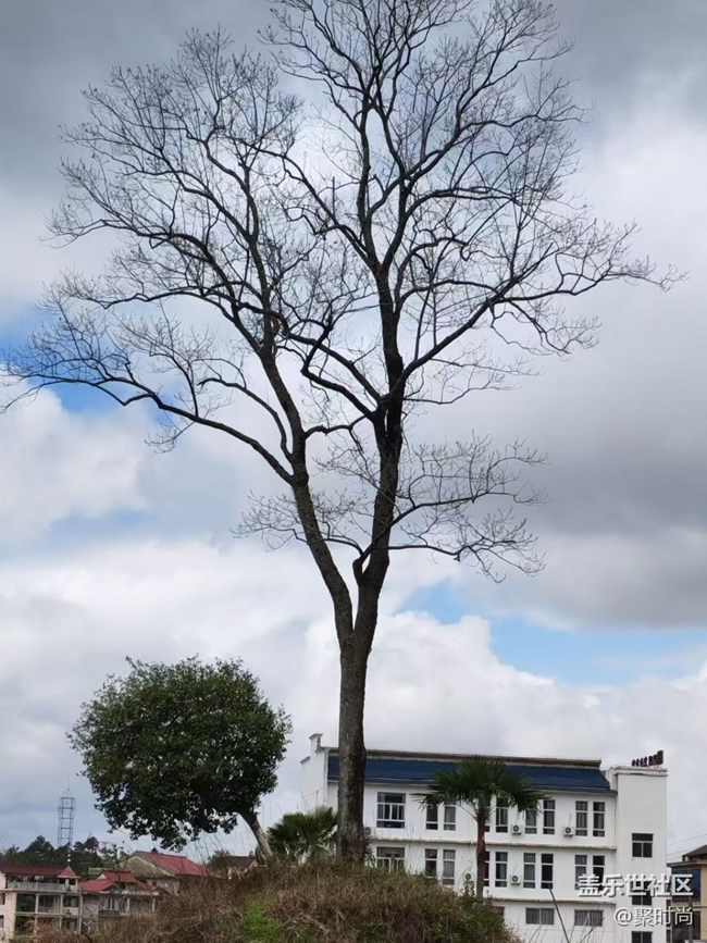 【人間四月天】快樂老家