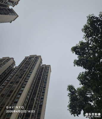 【鏡藏萬象】雨季不要來