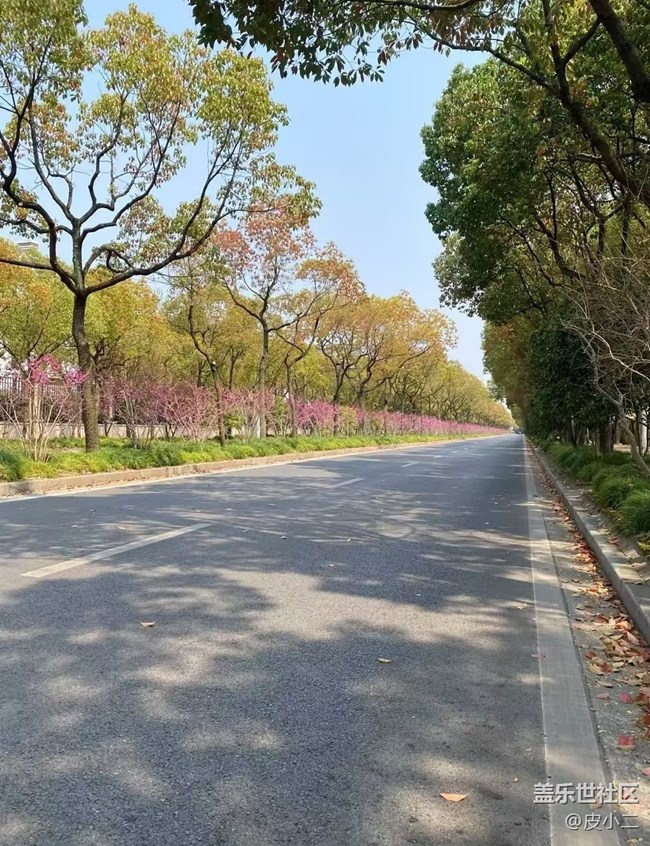 【人間四月天】櫻花季