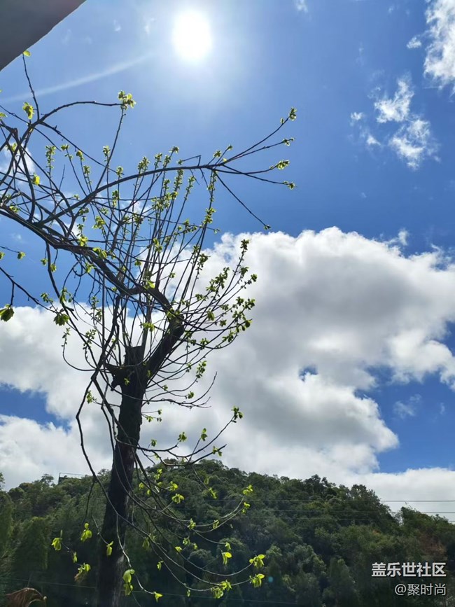 【人間四月天】快樂老家