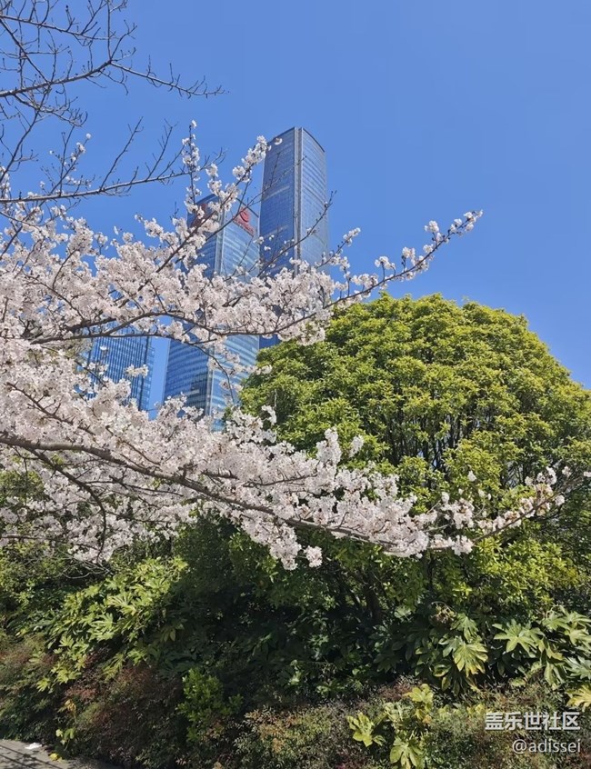 【人間四月天】花海