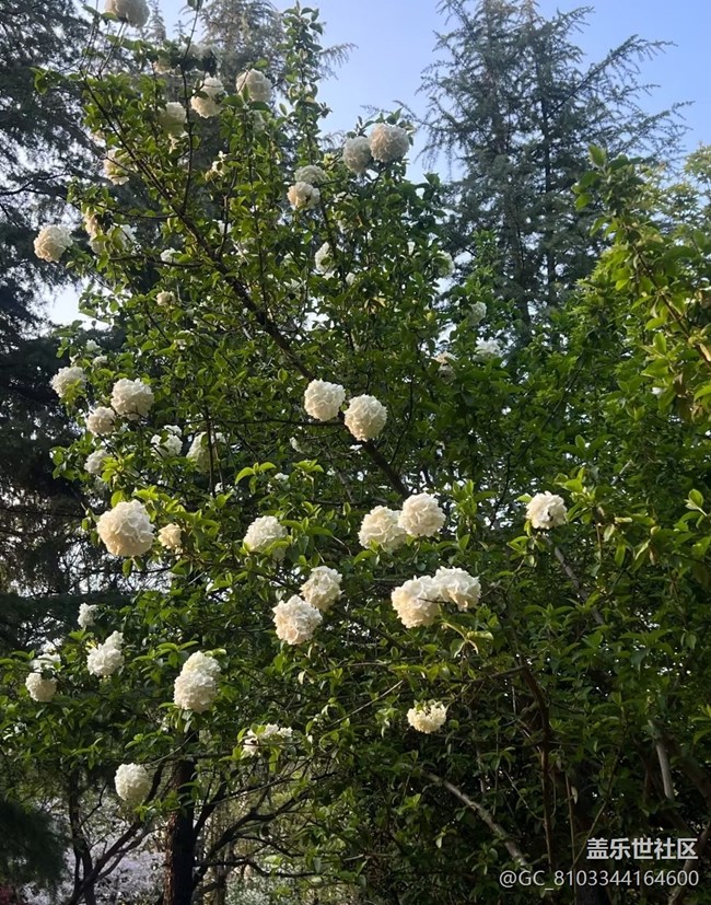 【人間四月天】春光無限好