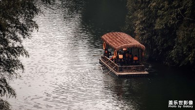 【細(xì)微之處】蜀南竹海