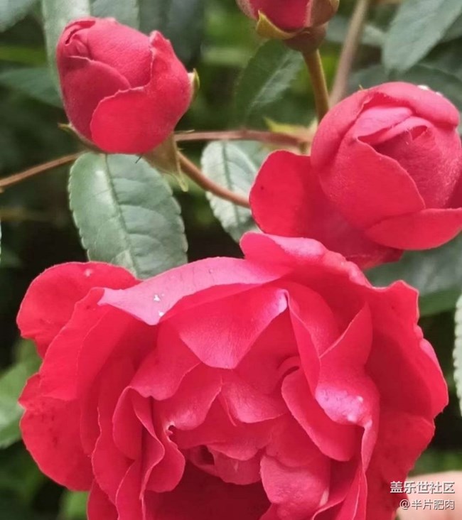 【人間四月天】出去玩