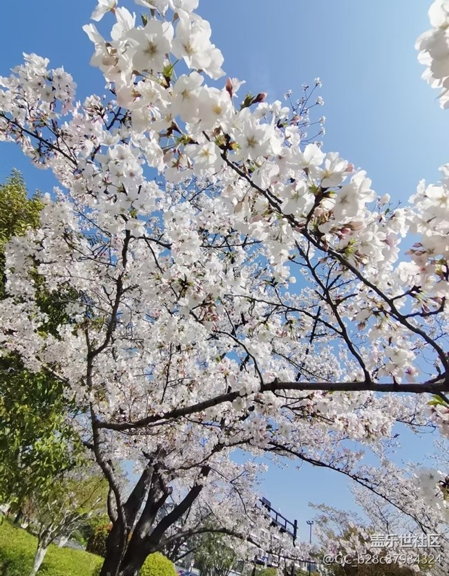【人間四月天】花團(tuán)錦簇