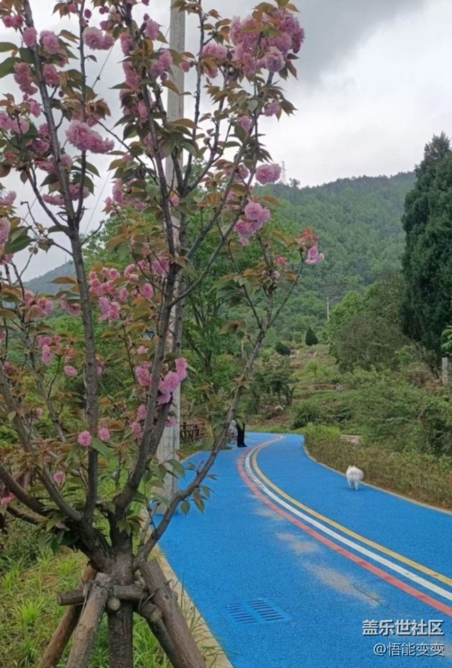 【人間四月天】后山散步