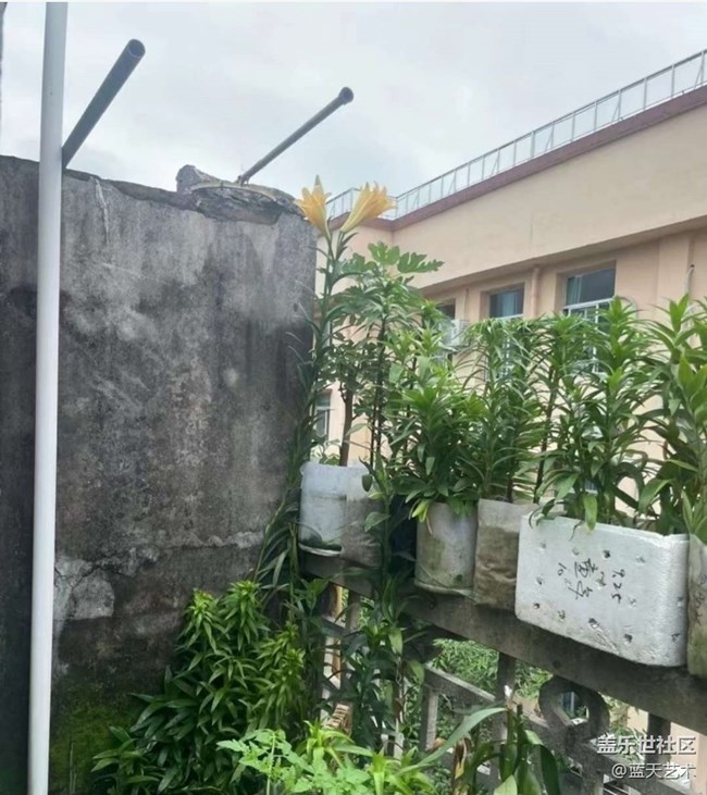 【人間四月天】陽(yáng)臺(tái)美景