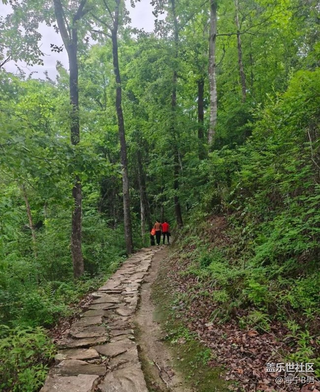 【人間四月天】爬山