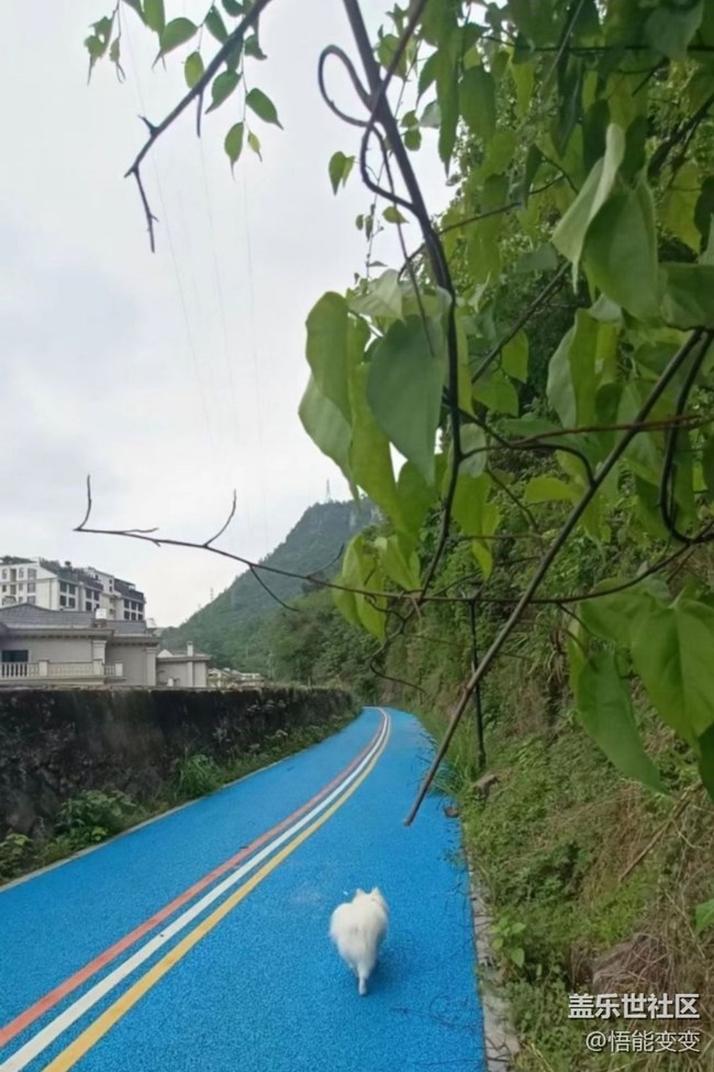 【人間四月天】后山散步