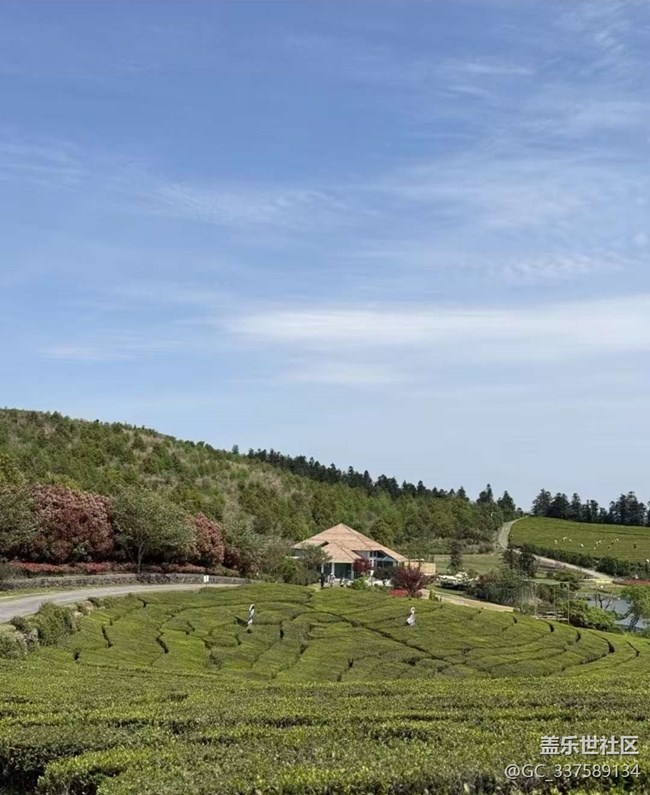 【人間四月天】好景色