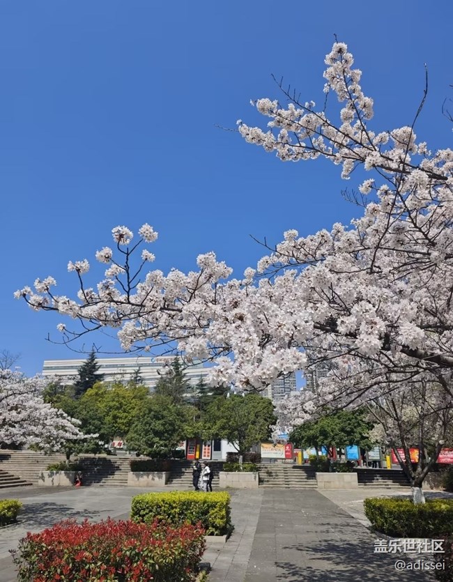【人間四月天】花海