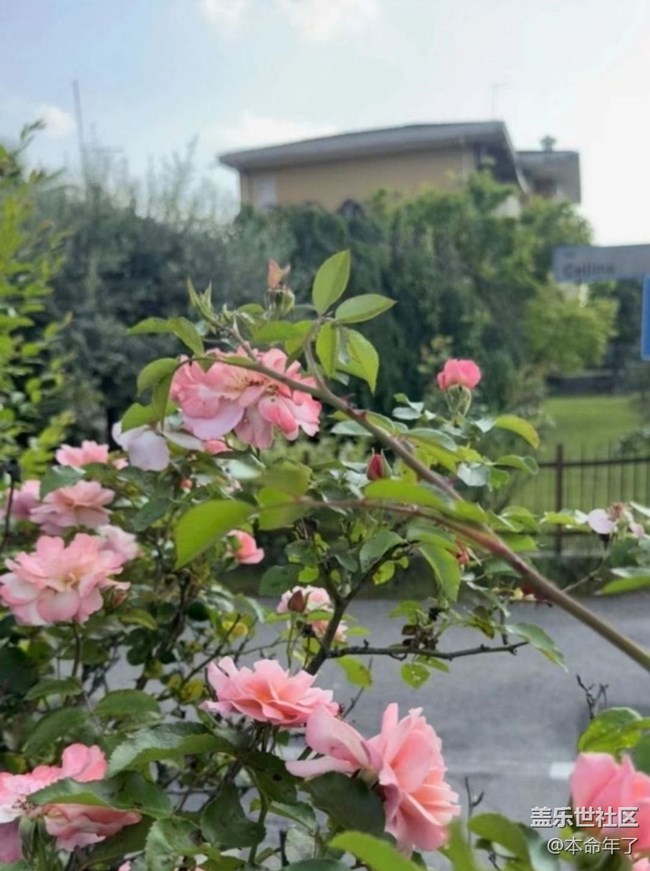 【人間四月天】花園