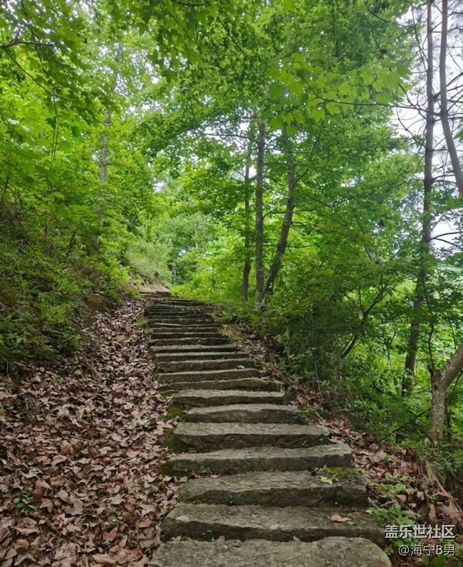 【人間四月天】爬山