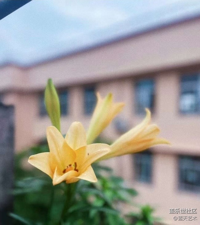 【人間四月天】陽(yáng)臺(tái)美景