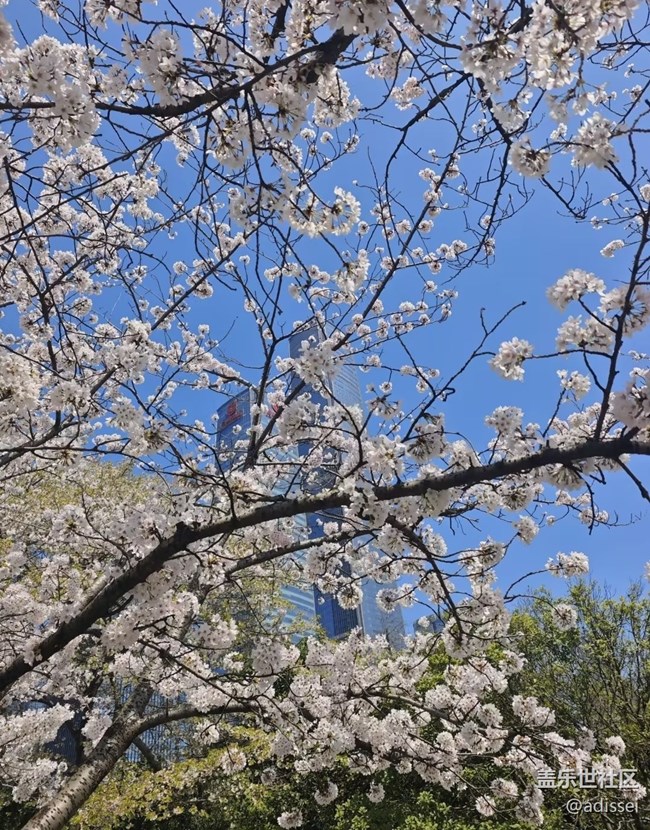 【人間四月天】花海