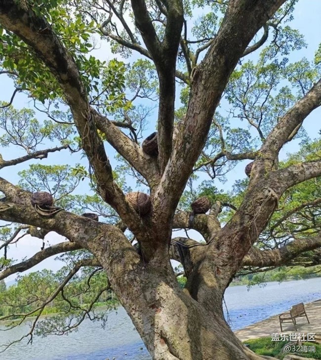 【人間四月天】戶外風(fēng)景
