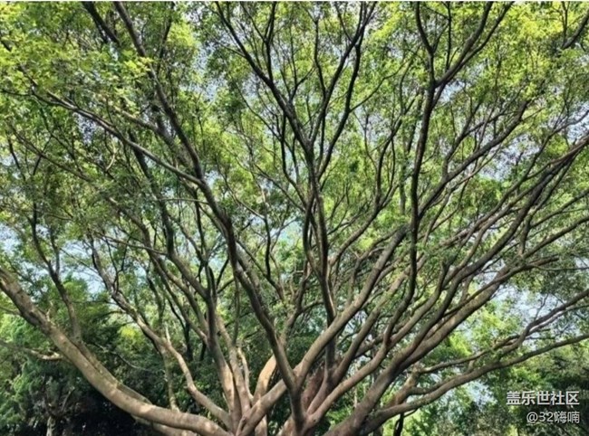 【人間四月天】戶外風(fēng)景