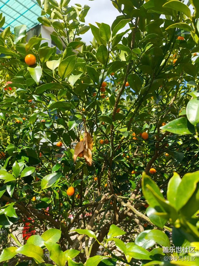 【人間四月天】自然