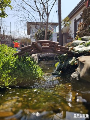 【細(xì)微之處】花兒與少年