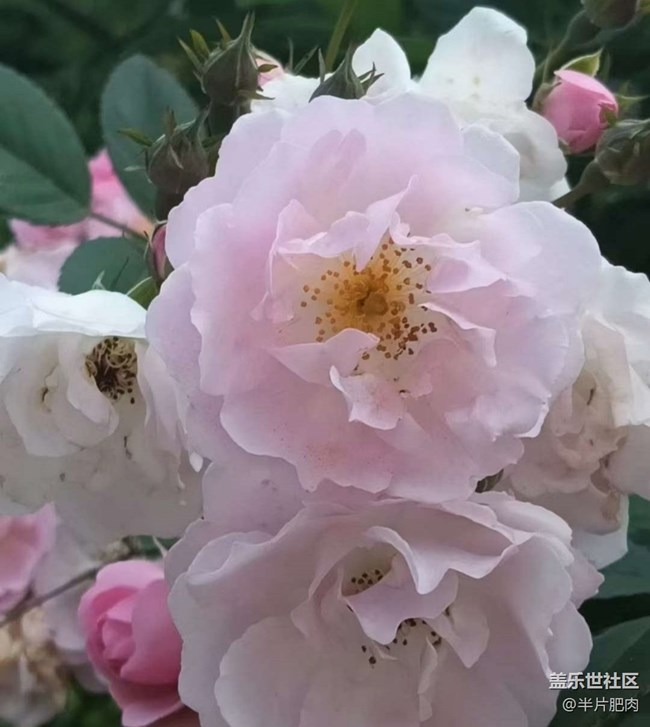 【人間四月天】出去玩