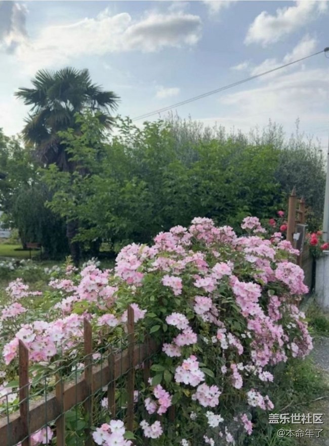 【人間四月天】花園