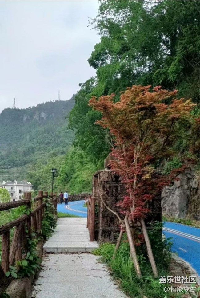 【人間四月天】后山散步