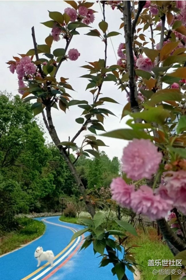 【人間四月天】后山散步